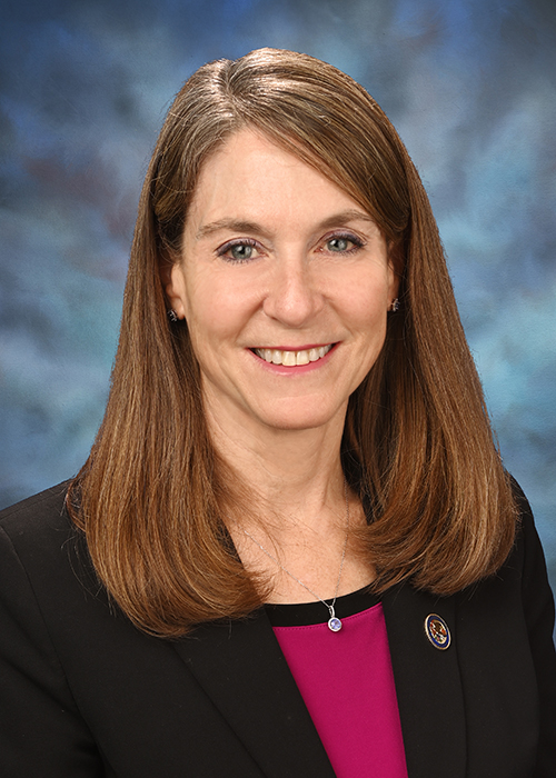 Photograph of Senator  Laura Fine (D)